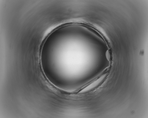 X0000090481176200707272313