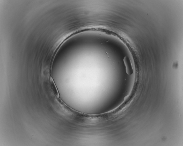 X0000090481177200707272313