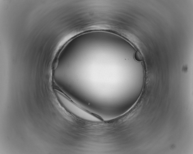 X0000090481179200707272313