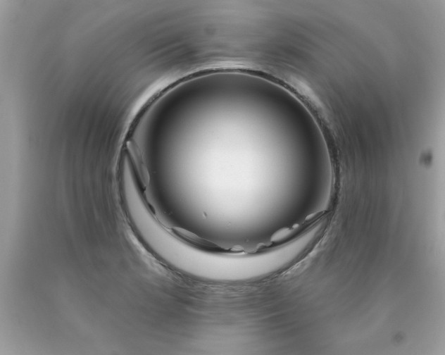 X0000090481181200707272313