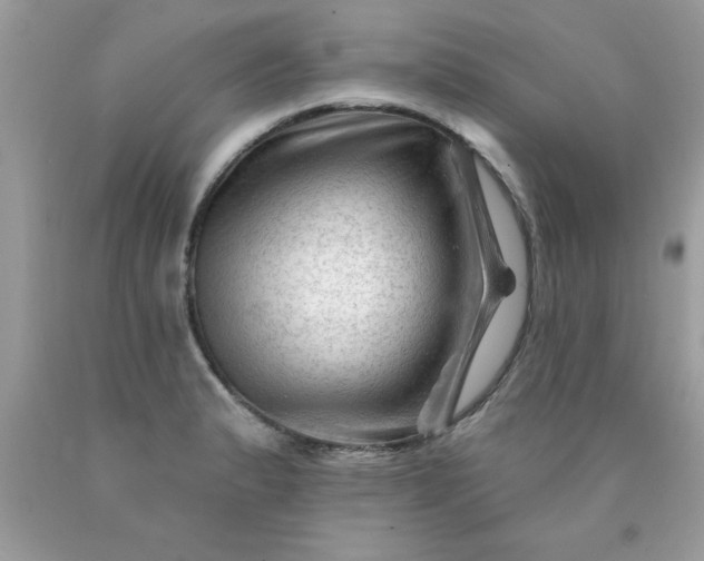 X0000090481183200707272313