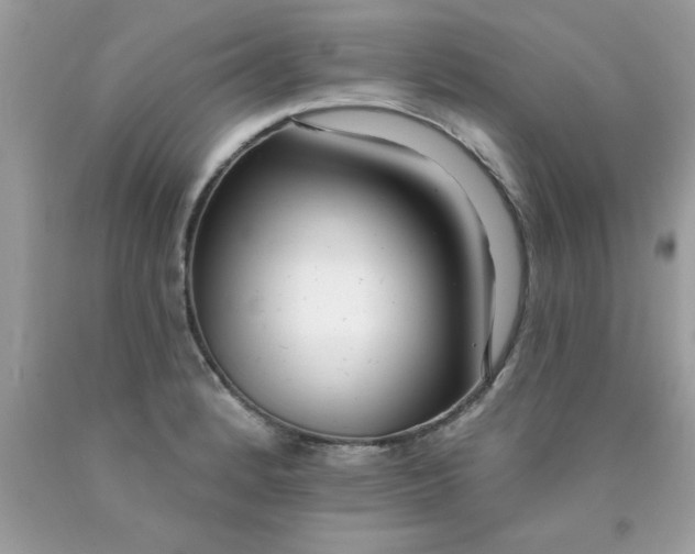 X0000090481184200707272312