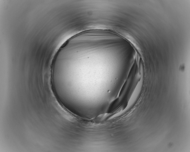 X0000090481187200707272312