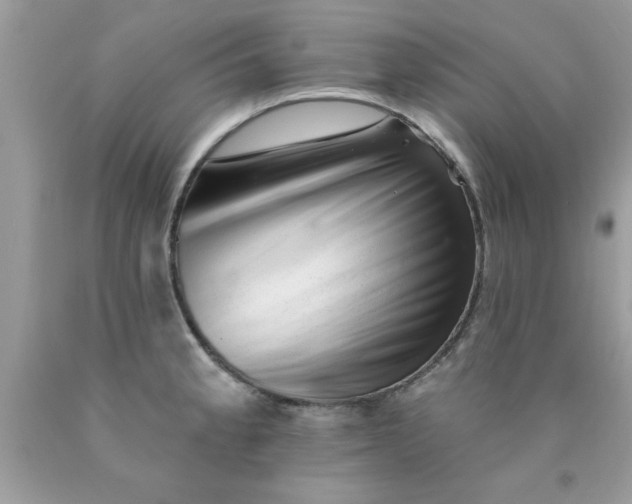 X0000090481189200707272312