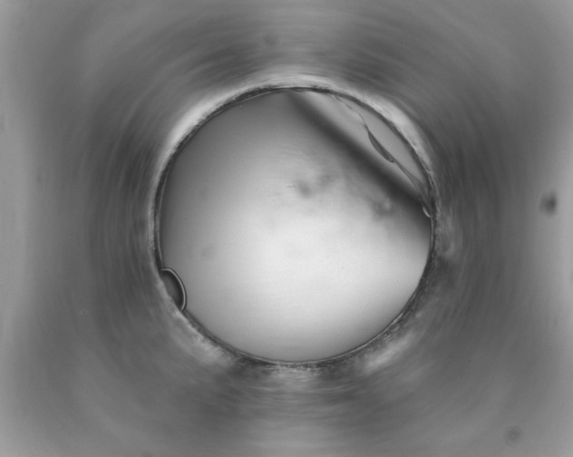 X0000090481191200707272312