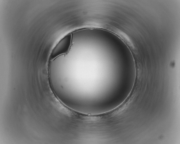 X0000090481192200707272312