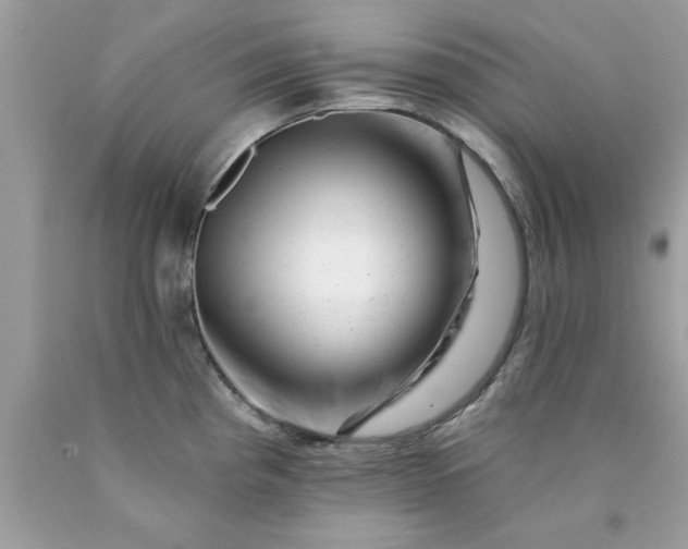 X0000090481193200707272312