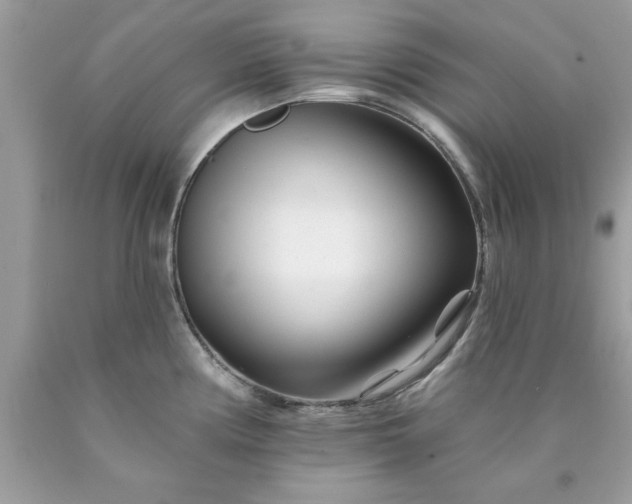 X0000090481194200707272312