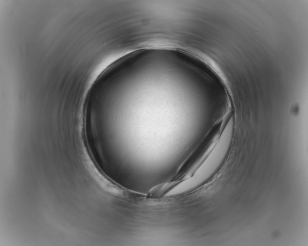 X0000090481195200707272312