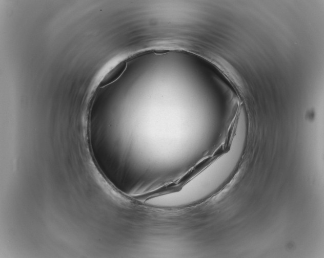 X0000090481196200707272312