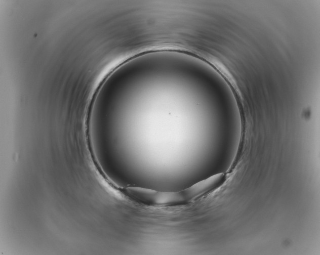 X0000090481197200707272312