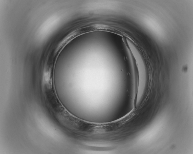 X0000090481198200707272312