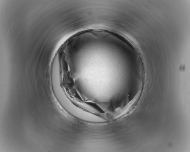 X0000090481200200707272312