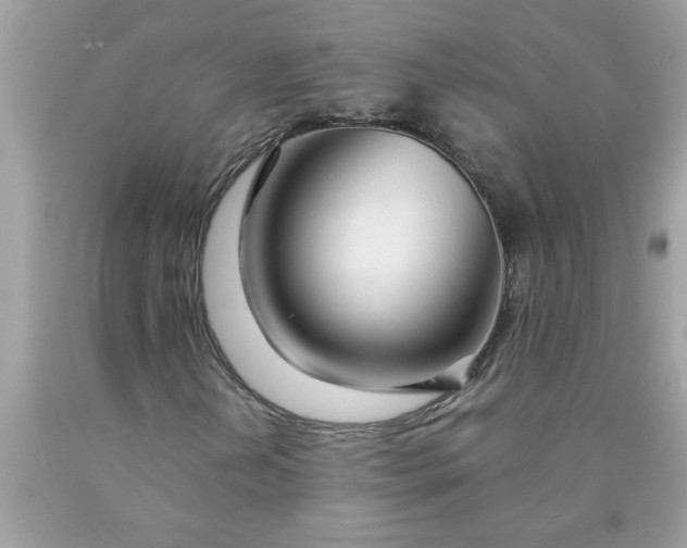 X0000090481202200707272312