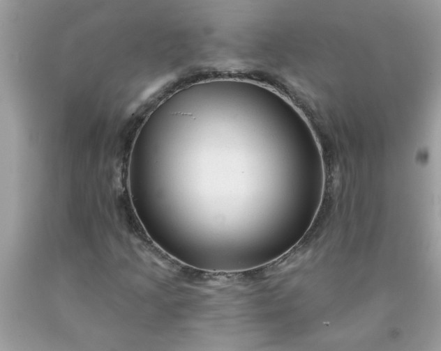 X0000090481205200707272312