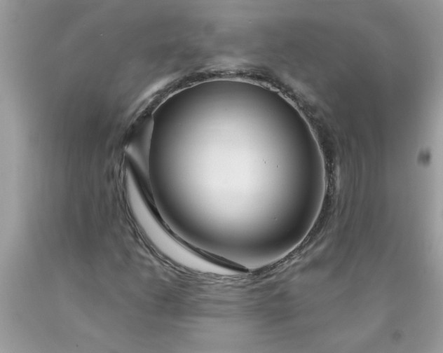 X0000090481206200707272312