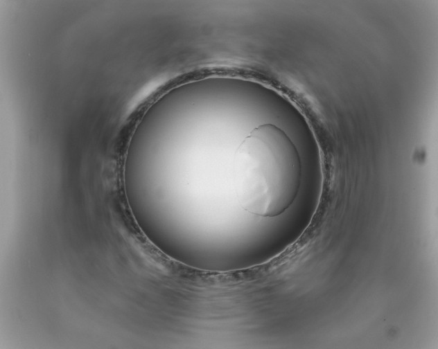 X0000090481208200707272312