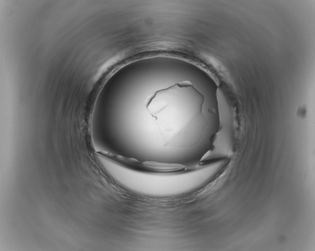 X0000090481210200707272312