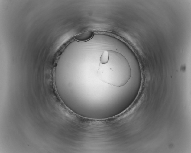 X0000090481211200707272312