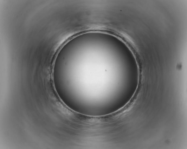 X0000090481212200707272312