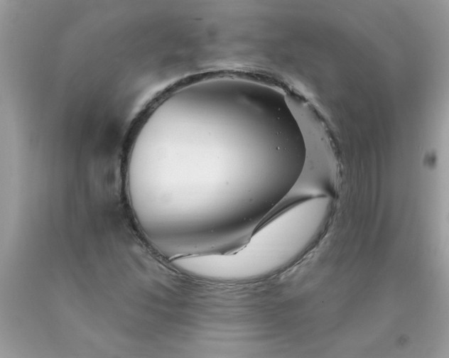 X0000090481214200707272312