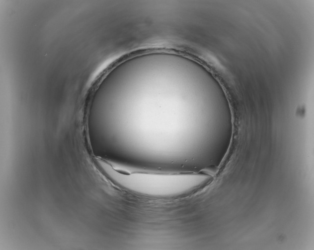 X0000090481216200707272312