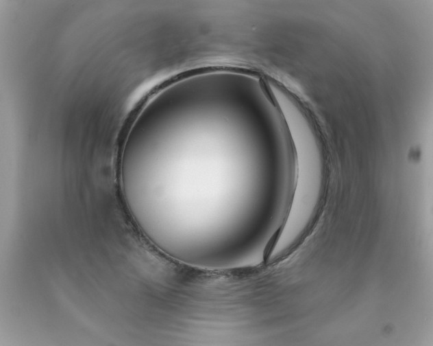 X0000090481222200707272312