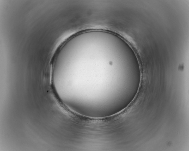 X0000090481223200707272312