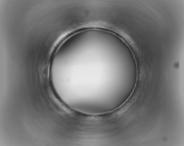 X0000090481224200707272312