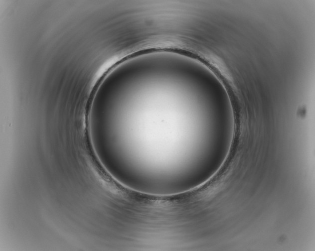 X0000090481226200707272312