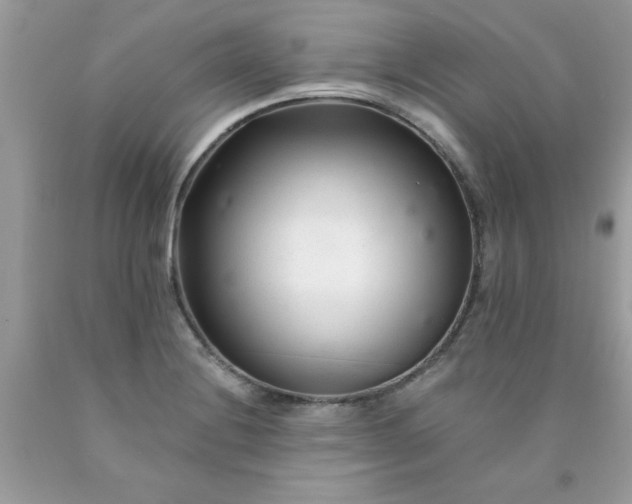 X0000090481228200707272312