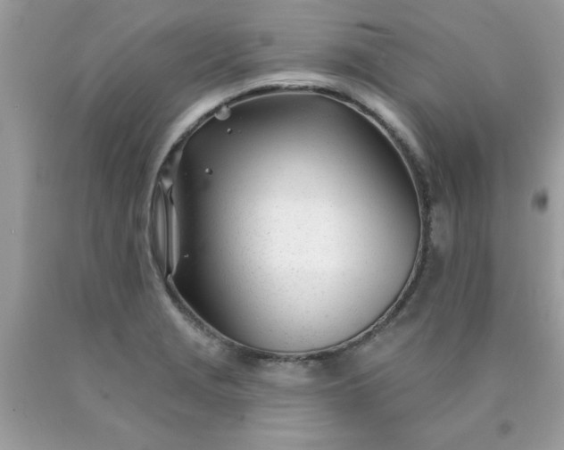 X0000090481229200707272312