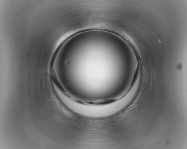 X0000090481230200707272312