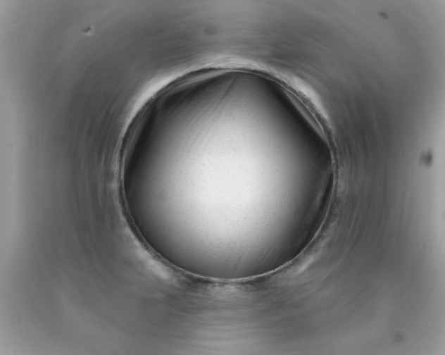 X0000090481231200707272312