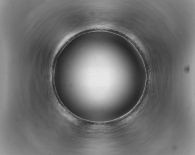 X0000090481232200707272312