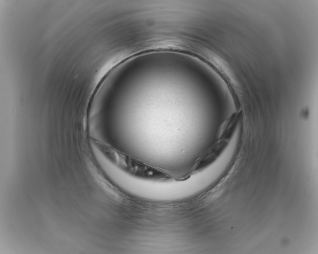 X0000090481234200707272312