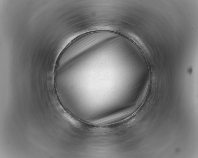 X0000090481236200707272312