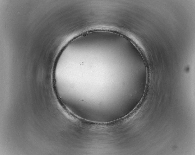 X0000090481237200707272312