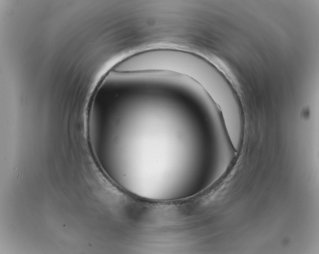 X0000090481238200707272312