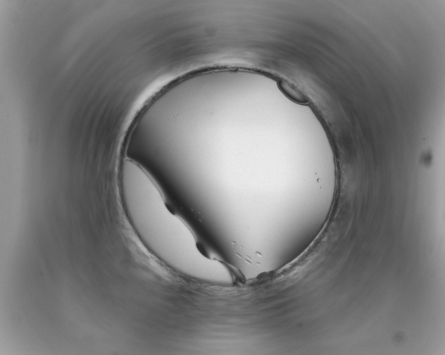 X0000090481240200707272312