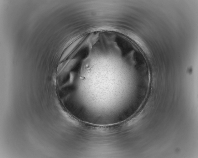 X0000090481241200707272312