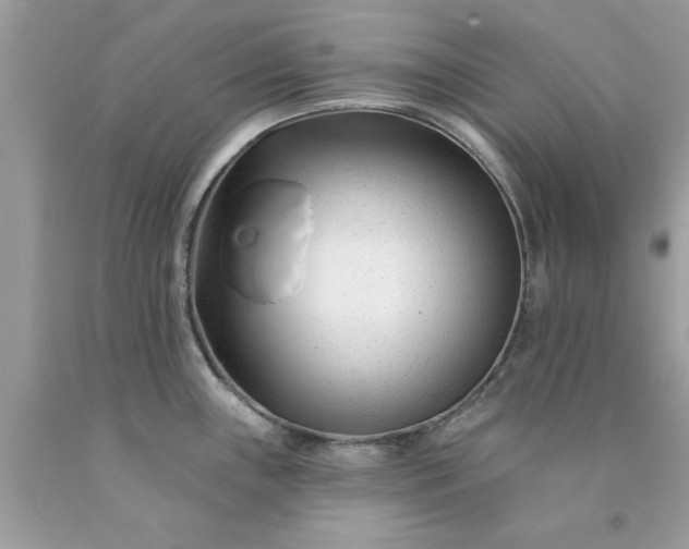 X0000090481243200707272312