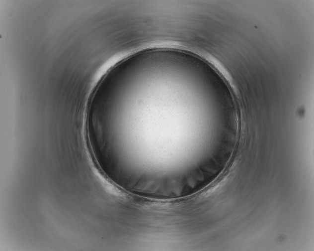 X0000090481245200707272312