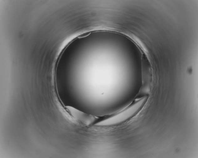 X0000090481246200707272312