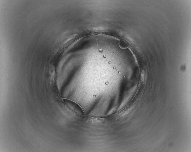 X0000090481251200707272312