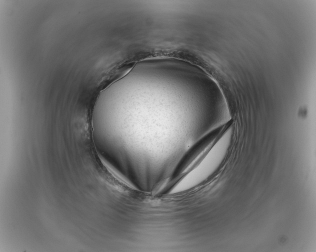 X0000090481252200707272312