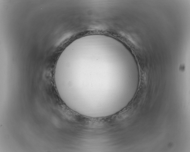 X0000090481254200707272312