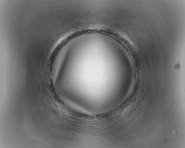 X0000090481256200707272312