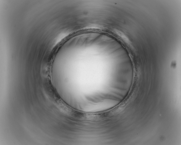 X0000090481258200707272312