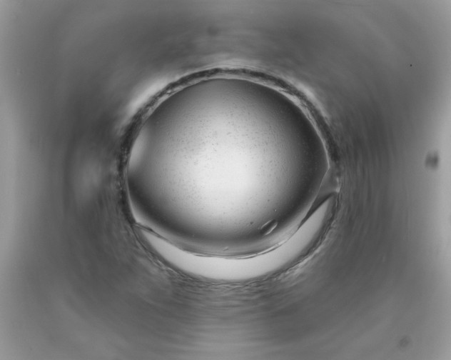 X0000090481263200707272312